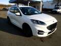 Ford Kuga 2,0 EcoBlue AWD ST-Line Aut. Weiß - thumbnail 4