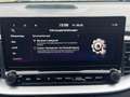 Kia Ceed SW / cee'd SW SW 1,6GDI PHEV Aut. **VIELE EXTRAS** ACC Navi LED Gris - thumbnail 31