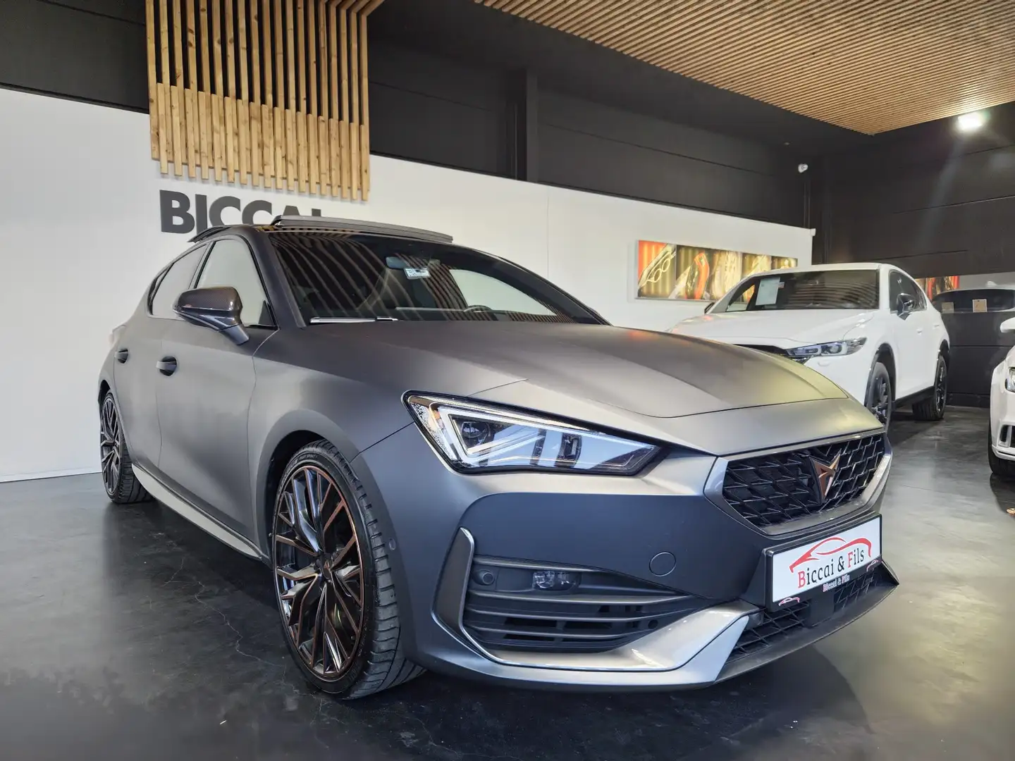 CUPRA Leon 2.0 TSI DSG Gris - 2