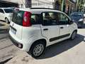 Fiat Panda Panda III 2012 1.2 Easy 69cv Bianco - thumbnail 4