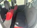 Fiat Panda Panda III 2012 1.2 Easy 69cv Bianco - thumbnail 6