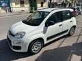 Fiat Panda Panda III 2012 1.2 Easy 69cv Bianco - thumbnail 2