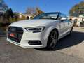 Audi A3 Cabriolet 2.0 TDI - 150 - BV S-Tronic  8V CABRIOLET Design luxe PHASE 2 Blanc - thumbnail 9