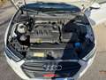 Audi A3 Cabriolet 2.0 TDI - 150 - BV S-Tronic  8V CABRIOLET Design luxe PHASE 2 Blanc - thumbnail 30