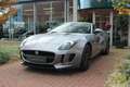 Jaguar F-Type 3.0 V6 Convertible Grijs - thumbnail 23