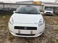 Fiat Punto Punto 1.4 16V Emotion Weiß - thumbnail 2