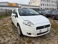 Fiat Punto Punto 1.4 16V Emotion Weiß - thumbnail 1
