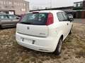 Fiat Punto Punto 1.4 16V Emotion Weiß - thumbnail 3