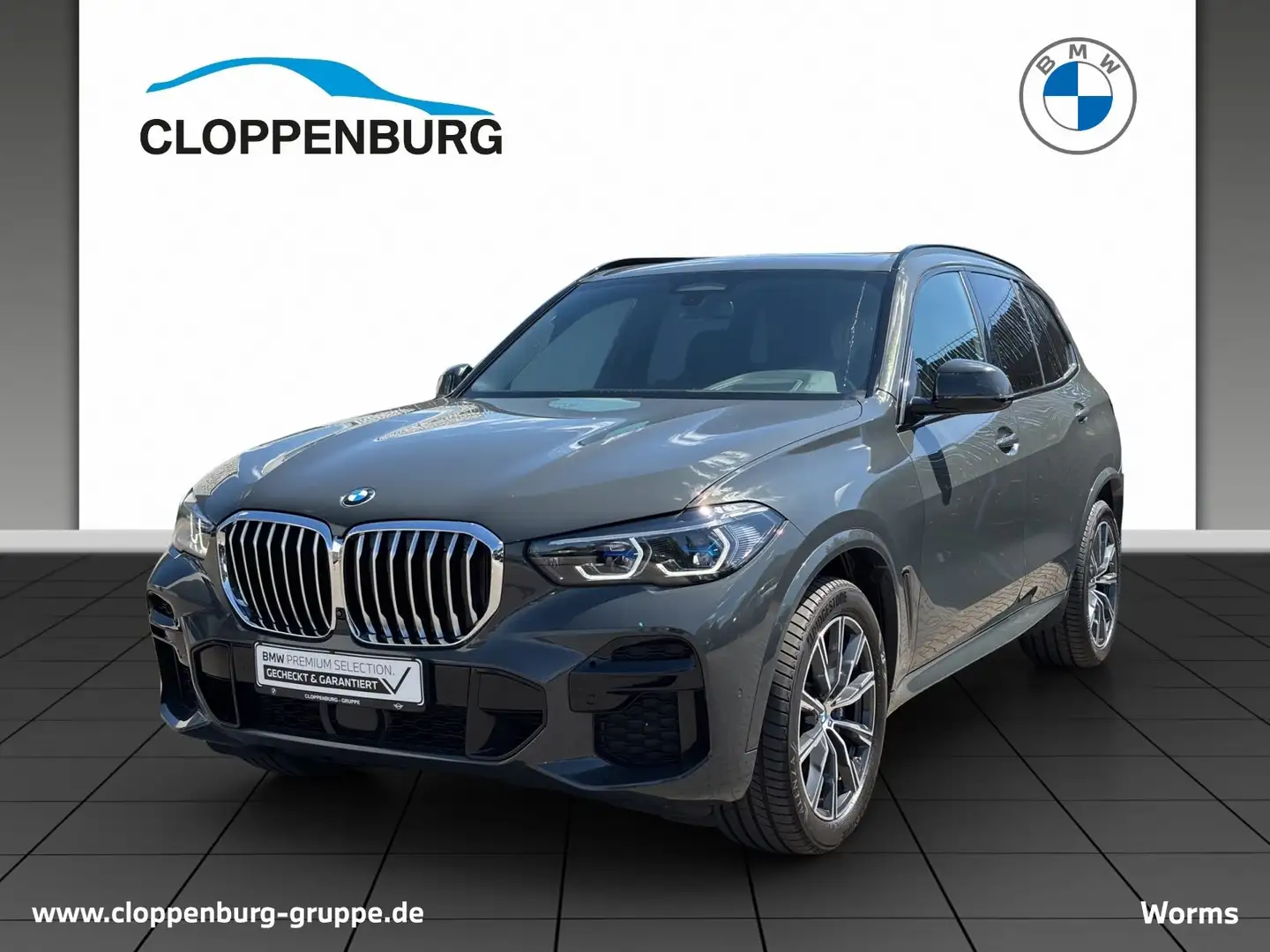 BMW X5 xDrive30d M Sport+Head-Up+SHZ+LED+Navi+Pano Grijs - 1