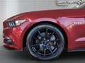 Ford Mustang 5.0 V8 GT /50 Years/ACC/BLIS/Sitzlüft./Kamera Rouge - thumbnail 5