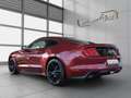 Ford Mustang 5.0 V8 GT /50 Years/ACC/BLIS/Sitzlüft./Kamera Rouge - thumbnail 3