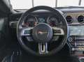 Ford Mustang 5.0 V8 GT /50 Years/ACC/BLIS/Sitzlüft./Kamera Rouge - thumbnail 15
