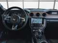 Ford Mustang 5.0 V8 GT /50 Years/ACC/BLIS/Sitzlüft./Kamera Rouge - thumbnail 8