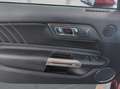 Ford Mustang 5.0 V8 GT /50 Years/ACC/BLIS/Sitzlüft./Kamera Rouge - thumbnail 10