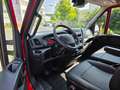 Iveco Daily 35 S13 PRITSCHE PLANE, 3 SITZER, KLIMAAUTO Rot - thumbnail 12