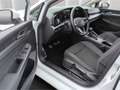 Volkswagen Golf VIII ACTIVE 1.0TSI*LED ACC R-Kam Navi SHZ Weiß - thumbnail 5