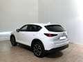 Mazda CX-5 2.2L Skyactiv-D 150 CV 2WD Advantage Bianco - thumbnail 6