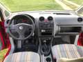 Volkswagen Caddy Caddy 1.9 TDI Life (5-Si.) Rot - thumbnail 9
