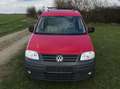 Volkswagen Caddy Caddy 1.9 TDI Life (5-Si.) Rosso - thumbnail 3