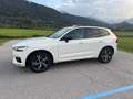 Volvo XC60 XC60 B4 R-Design AWD Geartronic R-Design Weiß - thumbnail 2