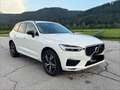Volvo XC60 XC60 B4 R-Design AWD Geartronic R-Design Weiß - thumbnail 8