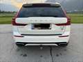 Volvo XC60 XC60 B4 R-Design AWD Geartronic R-Design Weiß - thumbnail 5