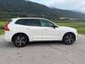 Volvo XC60 XC60 B4 R-Design AWD Geartronic R-Design Weiß - thumbnail 7