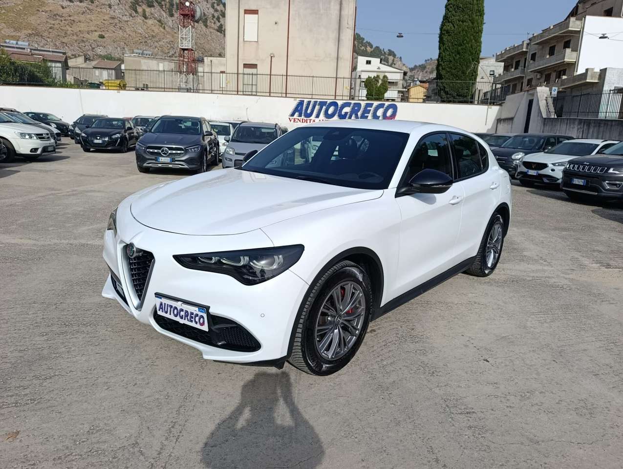 Alfa Romeo Stelvio Stelvio 2.2 Turbodiesel 160 CV AT8 RWD Competizion