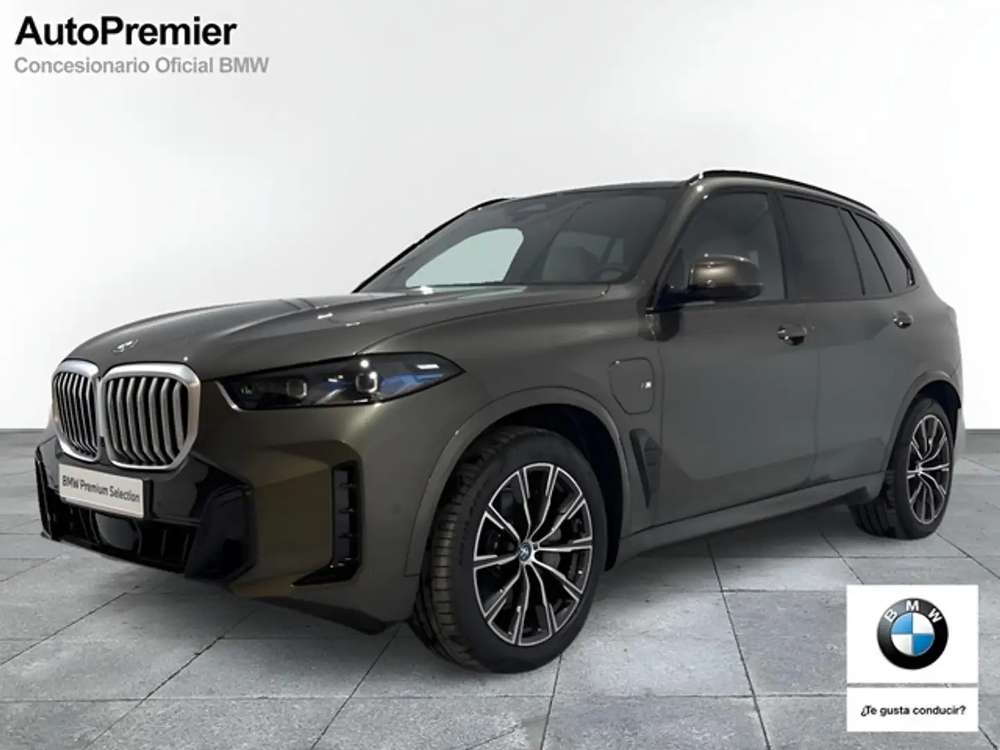 BMW X5 xDrive 50e xLine Bruin - 1