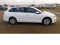 Volkswagen Golf Variant VIII 1.0 TSI Navi Klima Alu Bianco - thumbnail 2