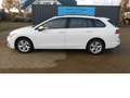 Volkswagen Golf Variant VIII 1.0 TSI Navi Klima Alu Bianco - thumbnail 1