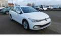 Volkswagen Golf Variant VIII 1.0 TSI Navi Klima Alu Wit - thumbnail 20