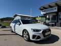 Audi A4 Avant 40 TFSI quattro S-line S-tronic *STHZG*AH... Weiß - thumbnail 14