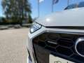 Audi A4 Avant 40 TFSI quattro S-line S-tronic *STHZG*AH... Weiß - thumbnail 7