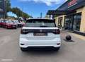 Volkswagen T-Cross 1.0 TSI 115CH R-LINE DSG7 BVA Blanc - thumbnail 20