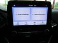 Ford Fiesta 1.0 Ecoboost Hybrid 125 CV 5 porte Titanium Grigio - thumbnail 15