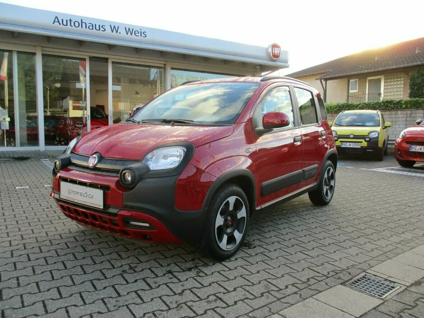 Fiat Panda Red Rouge - 2