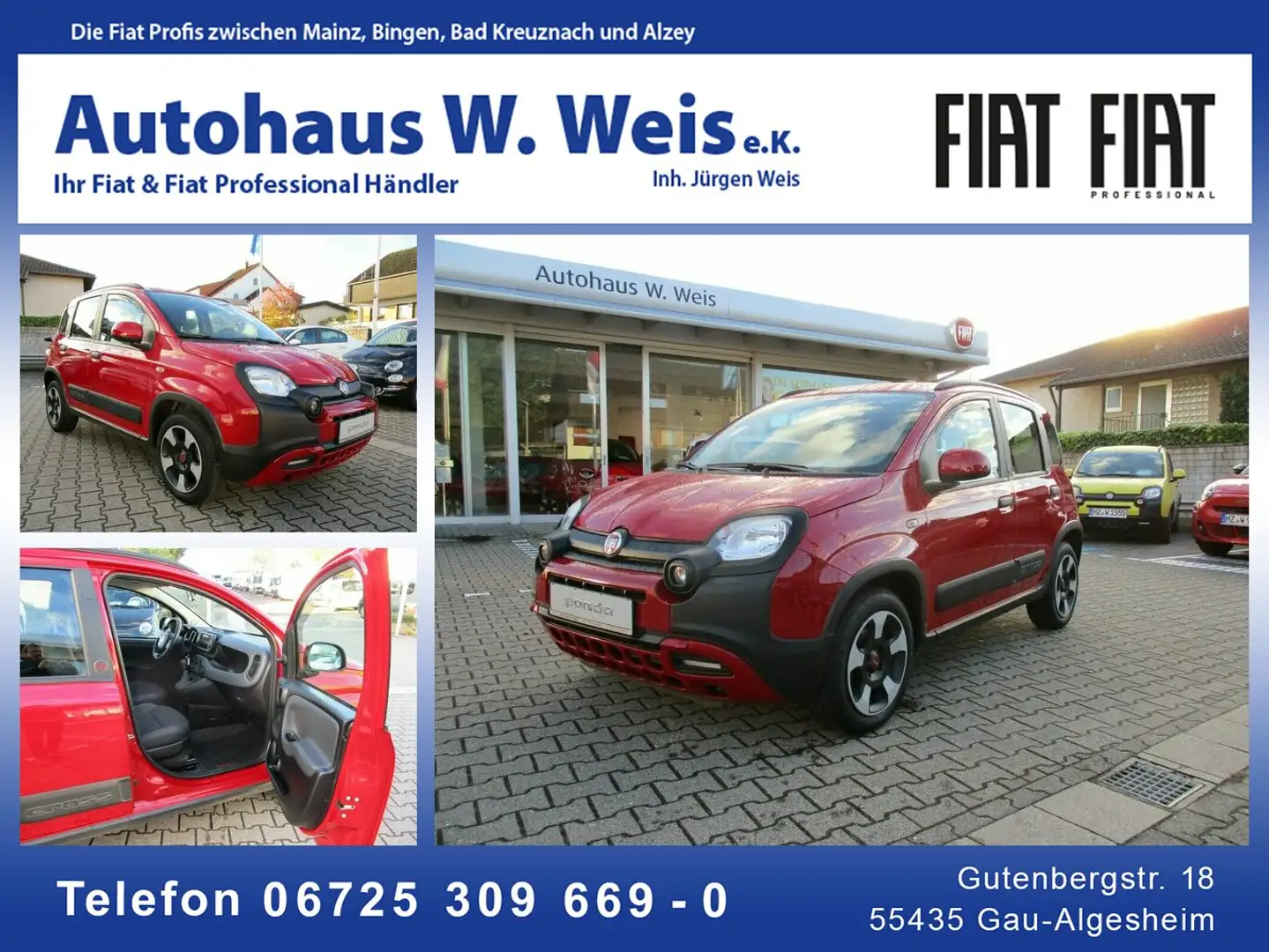 Fiat Panda Red Rouge - 1