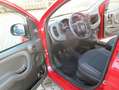 Fiat Panda Red Rouge - thumbnail 5