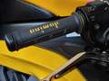 Yamaha YZF 600 R6 Giallo - thumbnail 5