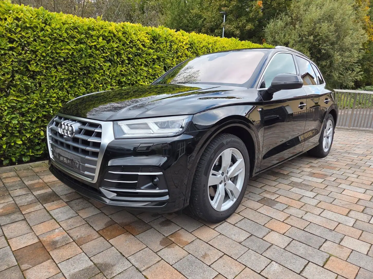 Audi Q5 40 TDI S-Line Virtual Luft ACC Matrix StHz Schwarz - 1