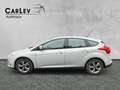 Ford Focus Zahnriemen neu Sitzheizung Grau - thumbnail 4