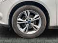 Ford Focus Zahnriemen neu Sitzheizung Grau - thumbnail 9