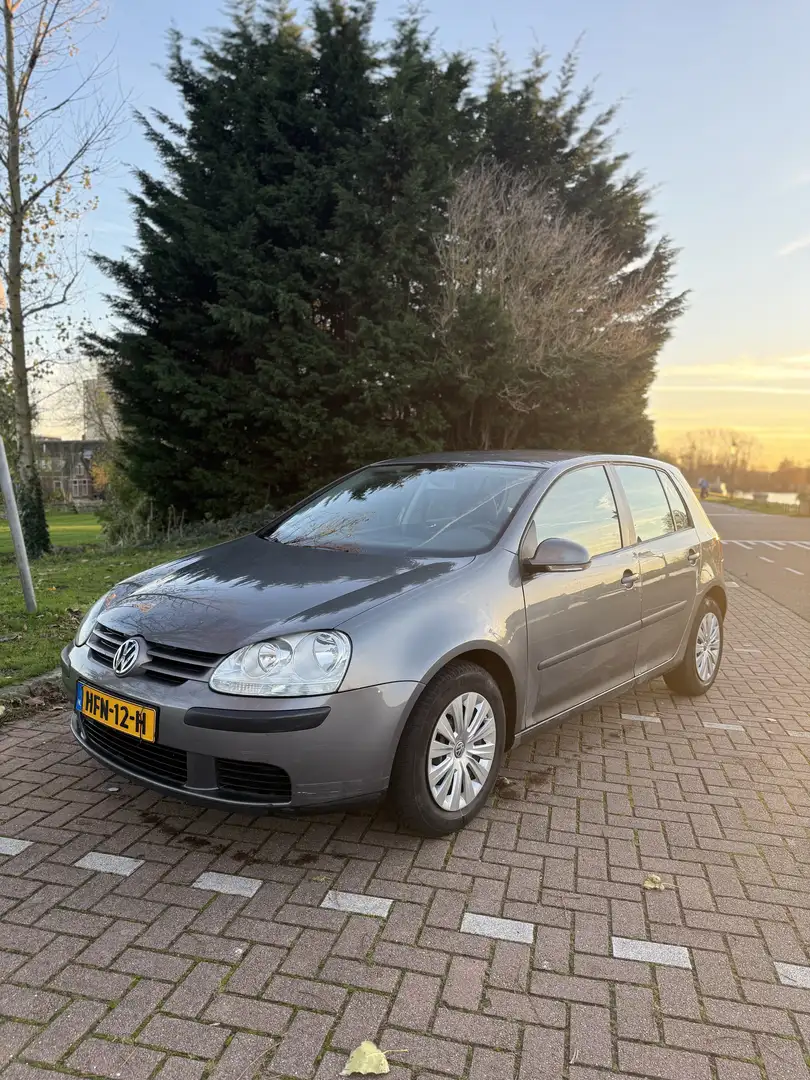 Volkswagen Golf 1.6 Trendline Grijs - 2