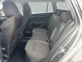 Skoda Octavia Selection TDI DSG Grau - thumbnail 21