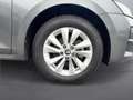 Skoda Octavia Selection TDI DSG Grau - thumbnail 6