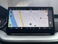 Skoda Octavia Selection TDI DSG Grau - thumbnail 16