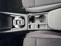 Skoda Octavia Selection TDI DSG Grau - thumbnail 12