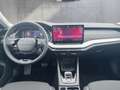 Skoda Octavia Selection TDI DSG Grau - thumbnail 15