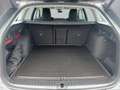 Skoda Octavia Selection TDI DSG Grau - thumbnail 22